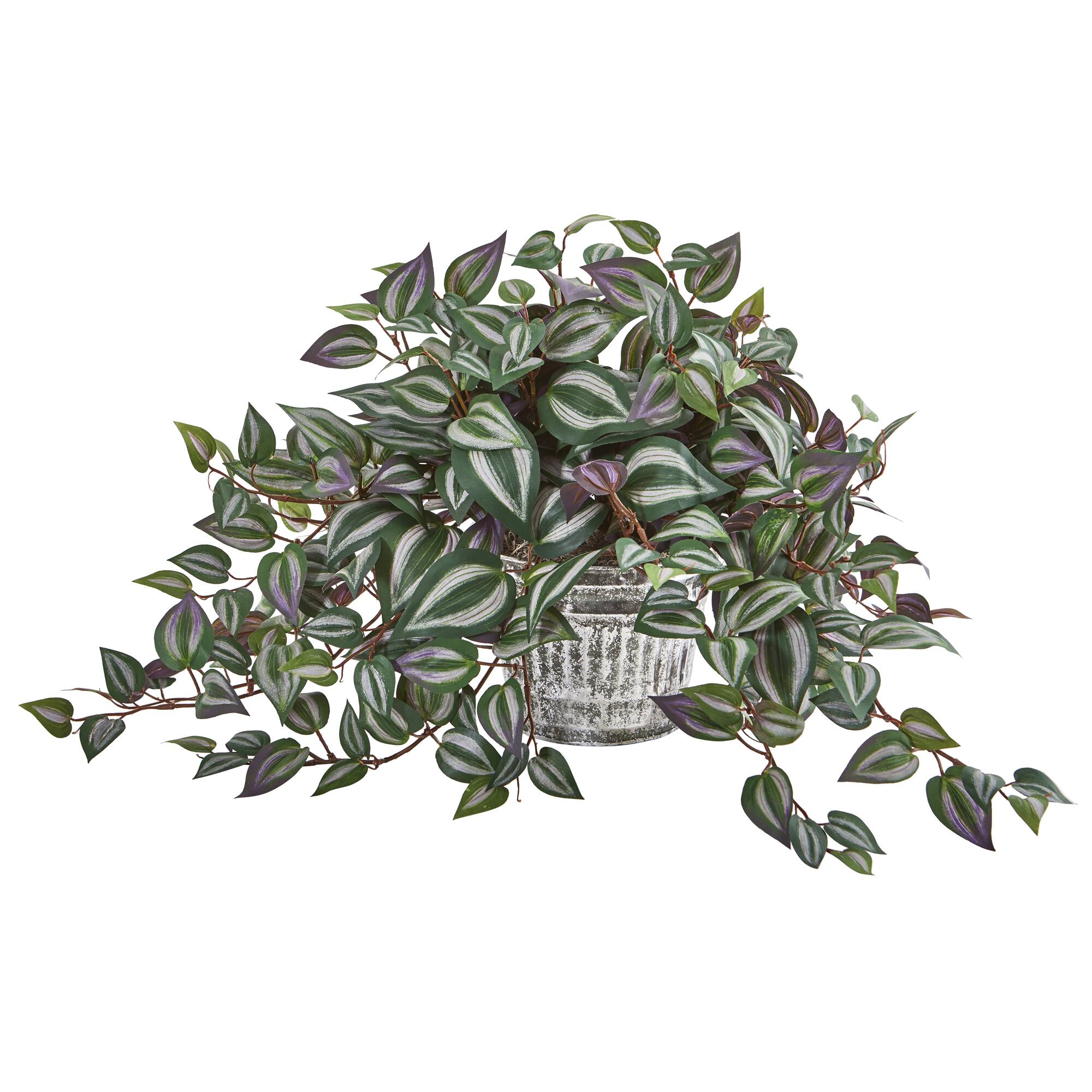 15" Inchplant in Vintage Metal Hanging Planter